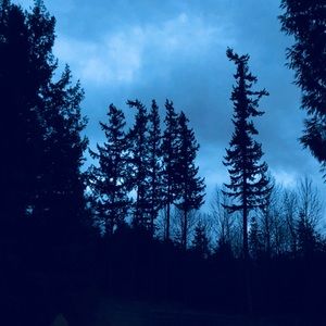 Meet your Posher, Ben